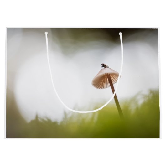 Kleine paddenstoel Natuur Foto Groot Cadeauzakje (Voorkant)