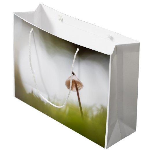 Kleine paddenstoel Natuur Foto Groot Cadeauzakje (Voorkant Gekanteld)