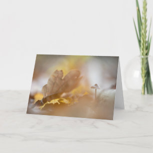 Kleine paddenstoel Natuur Foto Kaart
