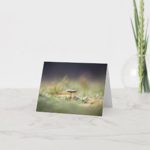 Kleine paddenstoel Natuur Foto Kaart