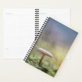 Kleine paddenstoel Natuur Foto Planner (Display)
