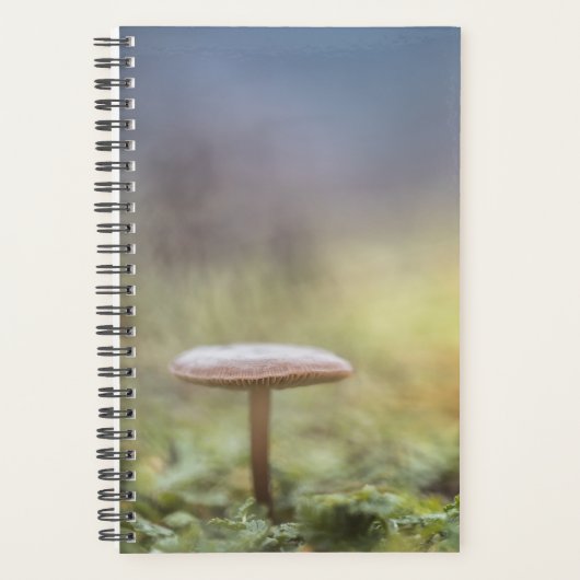 Kleine paddenstoel Natuur Foto Planner (Voorkant)