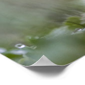 Kleine paddenstoel Natuur Foto Poster (Hoek)