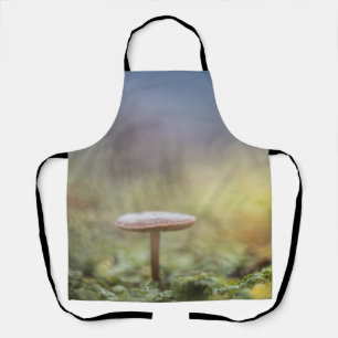 Kleine paddenstoel Natuur Foto Schort