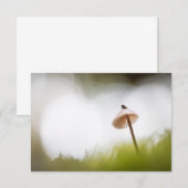 Kleine paddenstoel Natuur Fotokaart (Voorkant / Achterkant)