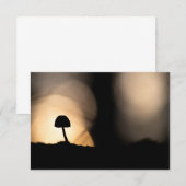 Kleine paddenstoel Natuur Fotokaart (Voorkant / Achterkant)