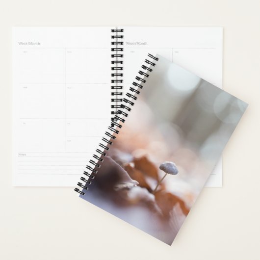 Kleine paddenstoel Natuur Fotokaart Planner (Display)