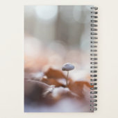 Kleine paddenstoel Natuur Fotokaart Planner (Achterkant)