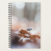 Kleine paddenstoel Natuur Fotokaart Planner (Voorkant)