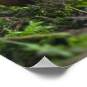 Kleine paddenstoel poster (Hoek)