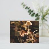 Kleine paddenstoelen briefkaart (Staand voorkant)
