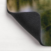 Kleine paddenstoelen in Bowden Burn Muismat (Hoek)