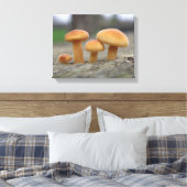 Kleine Paddenstoelen Macro Canvasprint Canvas Afdruk (Insitu (Slaapkamer))
