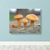 Kleine Paddenstoelen Macro Canvasprint Canvas Afdruk (Insitu (Houten vloer))