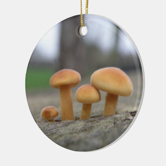 Kleine Paddenstoelen Macro Ornament (Links)