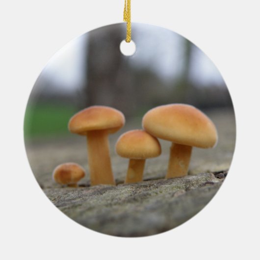 Kleine Paddenstoelen Macro Ornament (Achterkant)