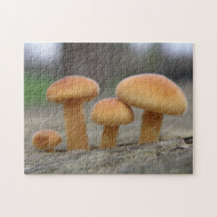 Kleine Paddenstoelen Macro Puzzel