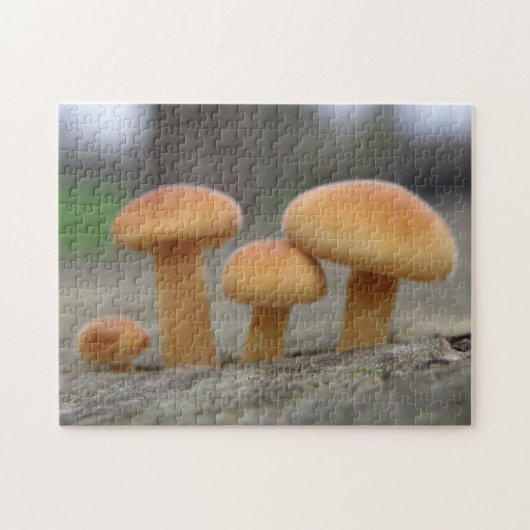 Kleine Paddenstoelen Macro Puzzel (Horizontaal)