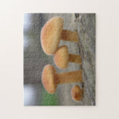 Kleine Paddenstoelen Macro Puzzel (Verticaal)