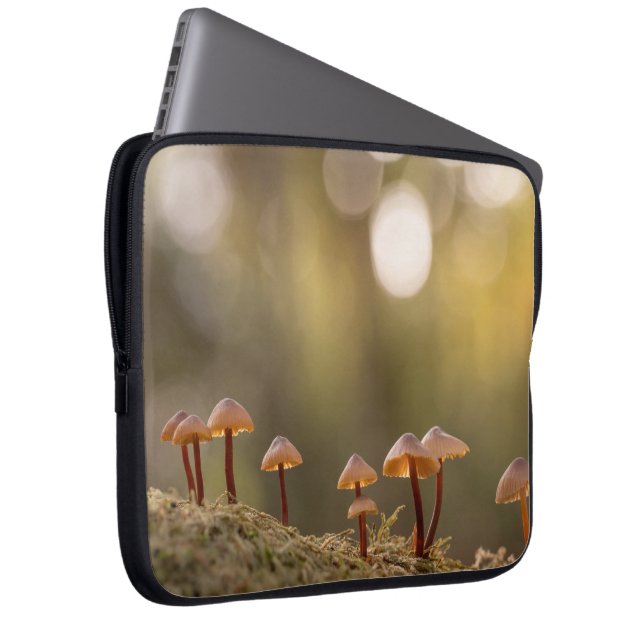 Kleine paddenstoelen Natuur Foto Laptop Sleeve (Voorkant Rechts)