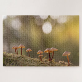 Kleine paddenstoelen Natuur Foto Legpuzzel