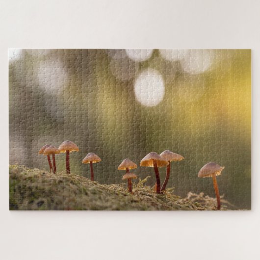 Kleine paddenstoelen Natuur Foto Legpuzzel (Horizontaal)