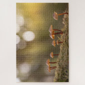 Kleine paddenstoelen Natuur Foto Legpuzzel (Verticaal)