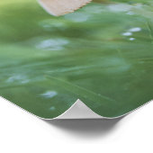 Kleine paddenstoelen Natuur Foto Poster (Hoek)