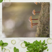 Kleine paddenstoelen Natuur Foto Theedoek (Gevouwen)