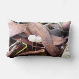 Kleine paddenstoelen op een kussen