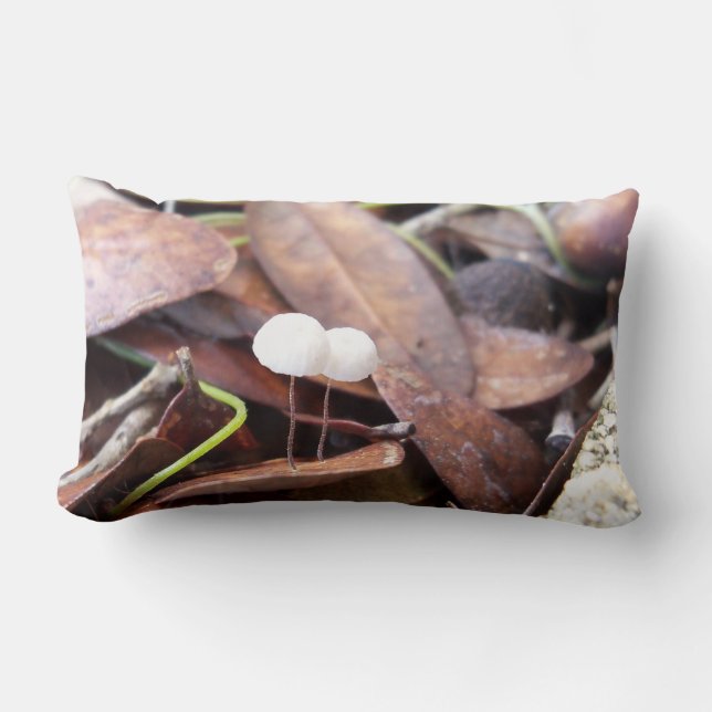 Kleine paddenstoelen op een kussen (Voorkant)