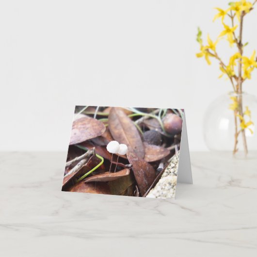 Kleine paddenstoelen op gevouwen Wenskaart Kaart (Gele Bloem)