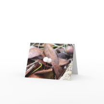 Kleine paddenstoelen op gevouwen Wenskaart