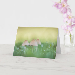 Kleine paddestoelen natuurfoto kaart