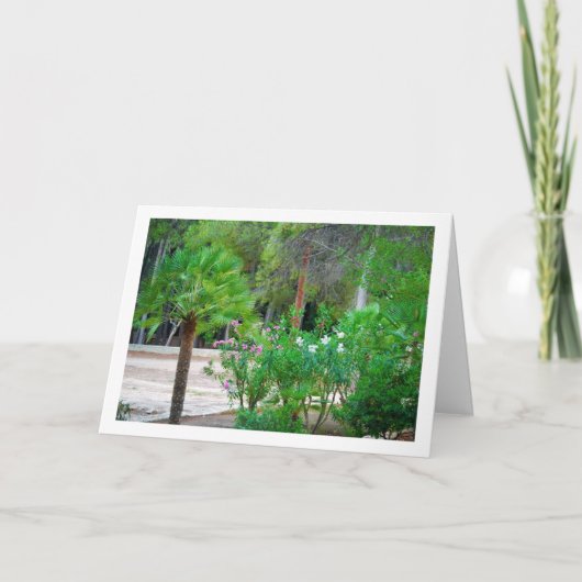 Kleine palmbomen in het park kaart (Voorkant)