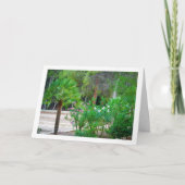 Kleine palmbomen in Park Kaart (Voorkant)