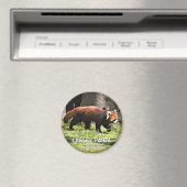 Kleine panda magneet (Insitu (Vaatwasser))