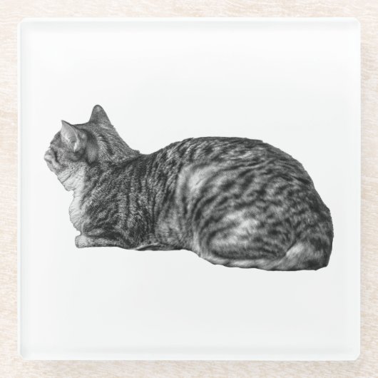 Kleine pauze, tabby-houding glazen onderzetter (Voorkant)