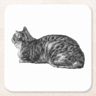 Kleine pauze, tabby-houding kartonnen onderzetters
