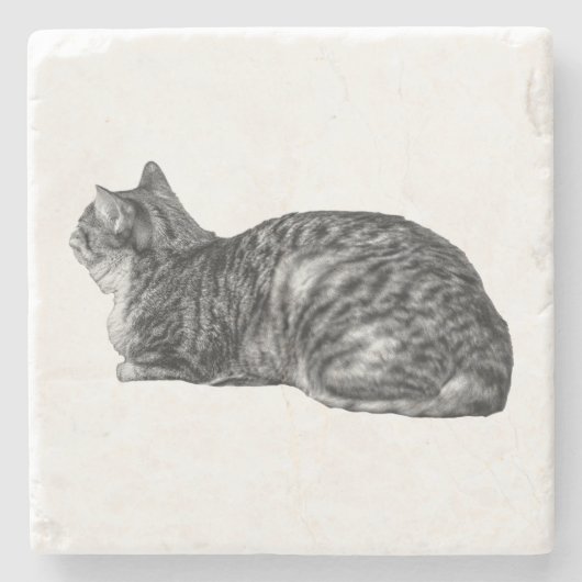 Kleine pauze, tabby-houding stenen onderzetter (Voorkant)
