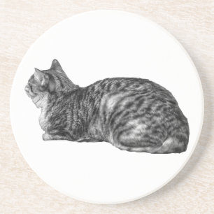 Kleine pauze, tabby-houding zandsteen onderzetter