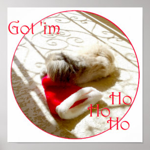 Kleine Pekingees pakt Sinterklaas Poster