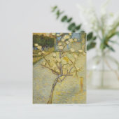 Kleine perenboom in bloesems Briefkaart (Staand voorkant)