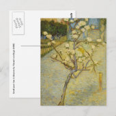 Kleine perenboom in bloesems Briefkaart (Voorkant / Achterkant)