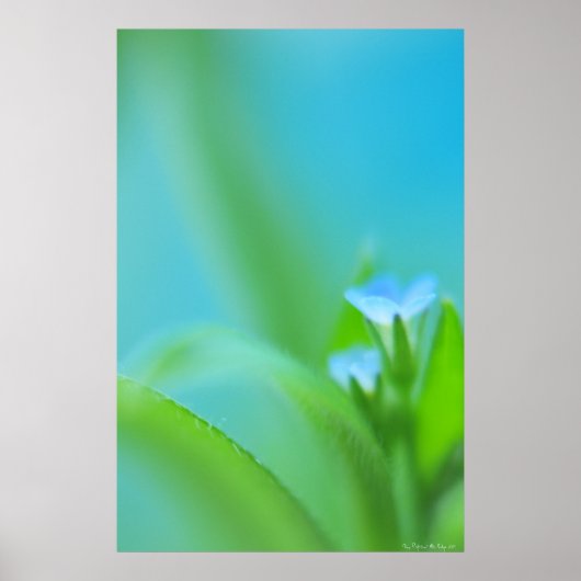 Kleine perfectie poster (Voorkant)