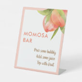 Kleine Perzik Meisje Baby Shower Momosa Bar Reclamebord Met Voetstuk (Voorkant)