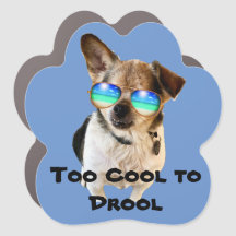 Kleine peuters Sanctuary: Chico too Cool to Drool