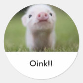 Kleine piggy sticker (Voorkant)