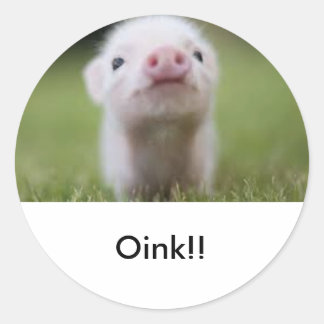 Kleine piggy sticker