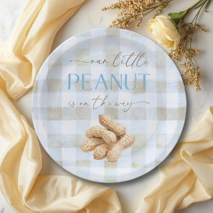 Kleine Pinda Jongen Blauwe Gingham Baby Shower Papieren Bordje